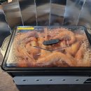 어은돌야영장 이미지