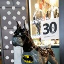 명동여인숙 이미지