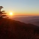 축복 이미지