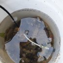 태안스테이션 이미지