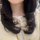 복슬 강아지미용실 | [석촌] 더 벨유헤어 석촌역점🌿케라틴 복구 클리닉 이든 원장님🖤 네이버 예약,레이어드컷, 강아지🐶