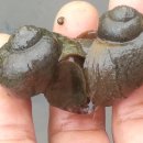 서연농장 이미지