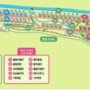 등억알프스야영장 이미지