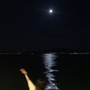 아나스타시아 | 크로아티아 자다르 여행코스 (짐보관, 숙소, 1박후기)