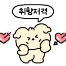 까사미단 이미지