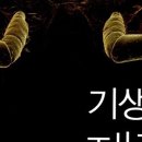 회선농장 | 과학 독서모임 &lt;기생충 제국&gt; 모임 후기