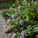 거북공원-2 이미지