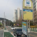 안민동 정자나무 이미지