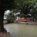 이순신 유숙지 이미지