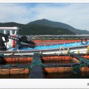 완도화목식품 이미지