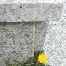 미소독서실 이미지