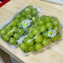 더나농장 | 샤인머스켓 추천, 너무 맛있어서 공구 진행!찬나농장
