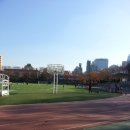 교대부속초등학교 이미지