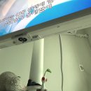 섬 - 대지의 노래 | 문득 이런생각을 했어요.. 진격거를 보기위해 태어난게 아닐까 하고....