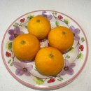 열매는달다 황금향 _ 상큼새콤한 제주도황금향 만족후기 🍊🍊