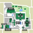 대도미술사