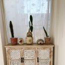 유리바다 | 제주 구좌 카페 모알보알 후기｜통유리 바다뷰 감성카페 추천