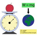 스포츠지도사 2급 - 운동역학 이미지