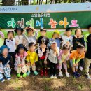 사랑숲유치원 이미지