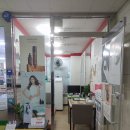 청담인셀덤 - 속초시 | 청담인셀덤