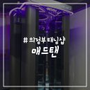 매드탠