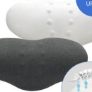 허리나 연구소 이미지