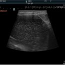 청주24시동물병원 이미지