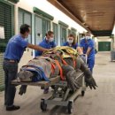 안 수의과병원 이미지