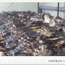 예덴농원 이미지