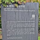 백화산 (반야교 - 편백숲 - 백화산 - 부들재 - 반야사 - 반야교) (24.10.18) 이미지