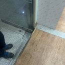 크린시스 이미지