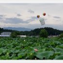 퇴곡1리 이미지