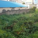 압량중학교 이미지