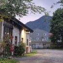 플랜트202 | [남양주] 브런치 카페 추천, 플랜트202 애견동반 가능한 감성 창고형 카페🏡