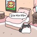 [24. 08. 01-13] 돌솥비빔밥/ 유배동타이어나감ㅠ/ 숙민효 여름휴가 24-03/ 토마레제면소