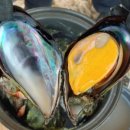 홍합공중화장실 이미지