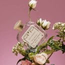 사요인터네셔널 | Epilogue 2. 산타 마리아 노벨라_로사 가데니아 리뷰