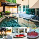 서울온천 이미지