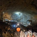 백가네 | 삼척문어숙회 해장라면을 끓여도 맛있는 백가네문어 포장 후기