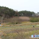 이극견 가계 석물군 이미지