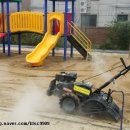 월평초등학교병설유치원 이미지