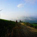 백두그린 이미지