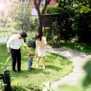 스튜디오배 이미지