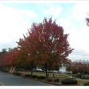 봉동과일공판장 이미지