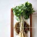 자연푸드 유한회사 - 56359 | 자연푸드 유한회사