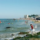 바다민원실 이미지