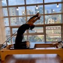 탑정형외과연합의원 이미지