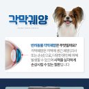 아이들 동물병원 이미지