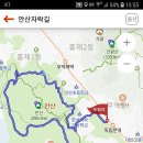 안산 힐링 초록숲길 - 메타세콰이어길 이미지