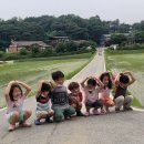 초록이둥지협동조합 이미지